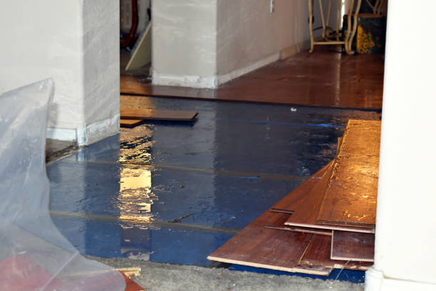 Professional Basement Water Removal technician working in Montgomery, MN